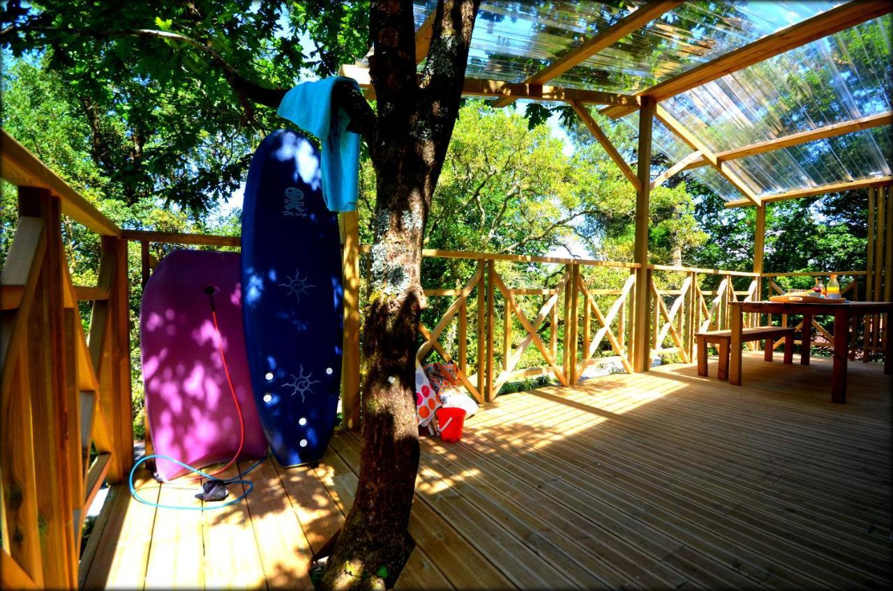 Village Nature Et Ocean A Cote De La Plage Avec Piscine Et Jacuzzi Messanges  Eksteriør billede