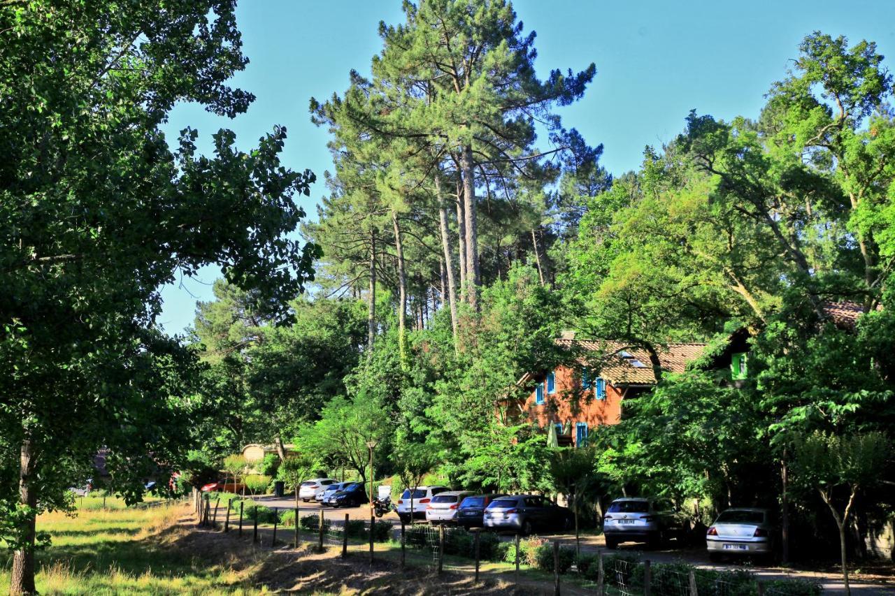 Village Nature Et Ocean A Cote De La Plage Avec Piscine Et Jacuzzi Messanges  Eksteriør billede