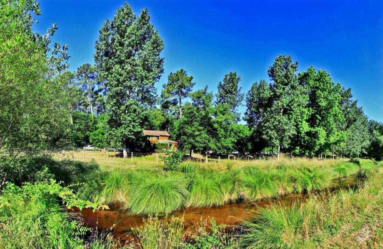 Village Nature Et Ocean A Cote De La Plage Avec Piscine Et Jacuzzi Messanges  Eksteriør billede