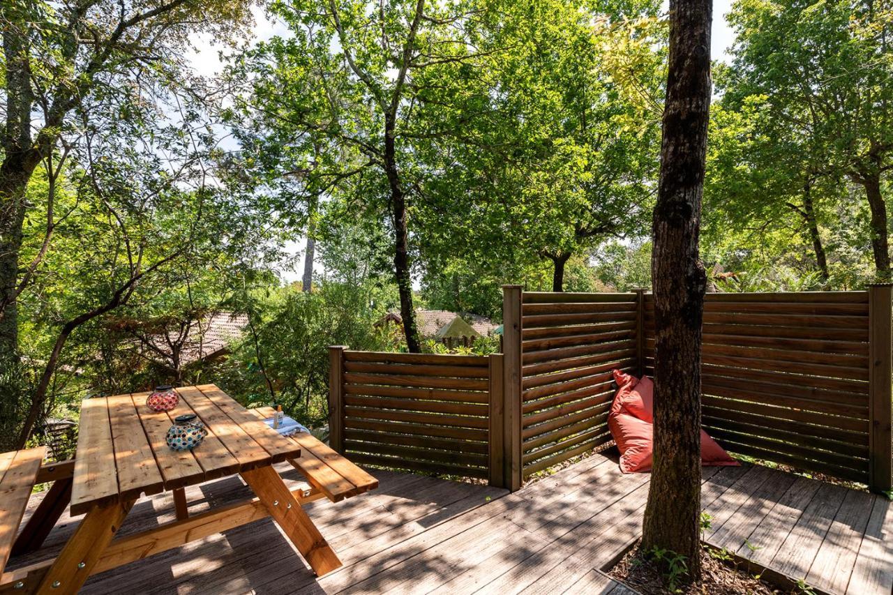 Village Nature Et Ocean A Cote De La Plage Avec Piscine Et Jacuzzi Messanges  Eksteriør billede