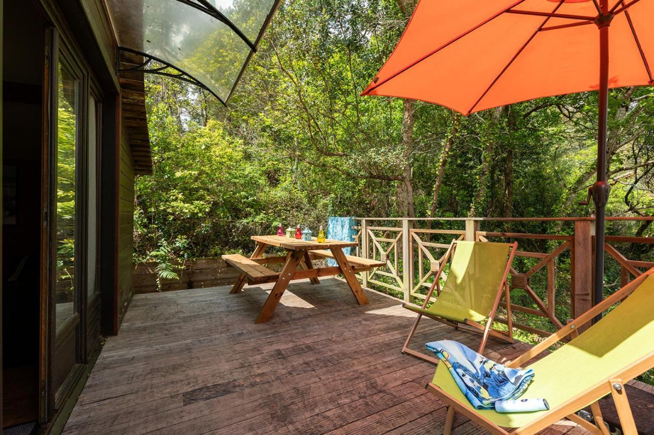 Village Nature Et Ocean A Cote De La Plage Avec Piscine Et Jacuzzi Messanges  Eksteriør billede